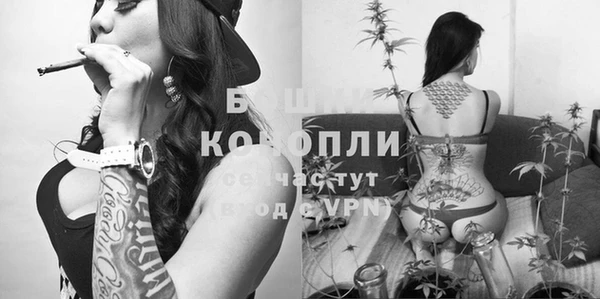 амф Козельск
