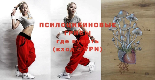spice Алексеевка