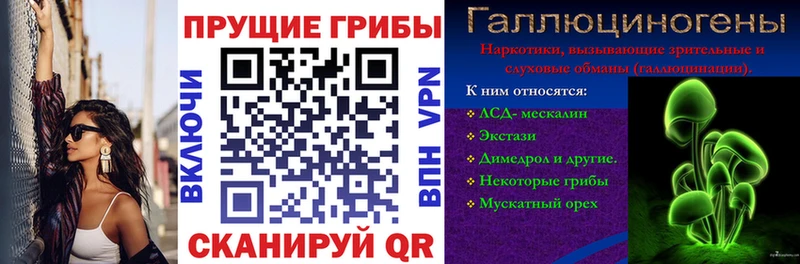 Псилоцибиновые грибы Cubensis shop состав Кореновск