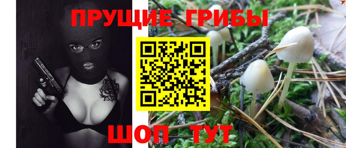 Кореновск  Псилоцибиновые грибы Magic Shrooms  Вход с VPN  Псилоцибиновые грибы прущие грибы 